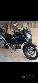 Suzuki V-strom DL1000