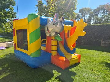 Gonfiabile professionale