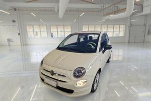 FIAT 500 1.0 70 CV IBRIDO CULT 3 PORTE BERLINA