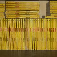 Raccolta di giornaletti  Topolino