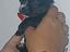 Immagine 1