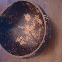 ciotole di noce di cocco per insalata