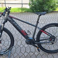 Olympia Master 630      M/L   contovendita