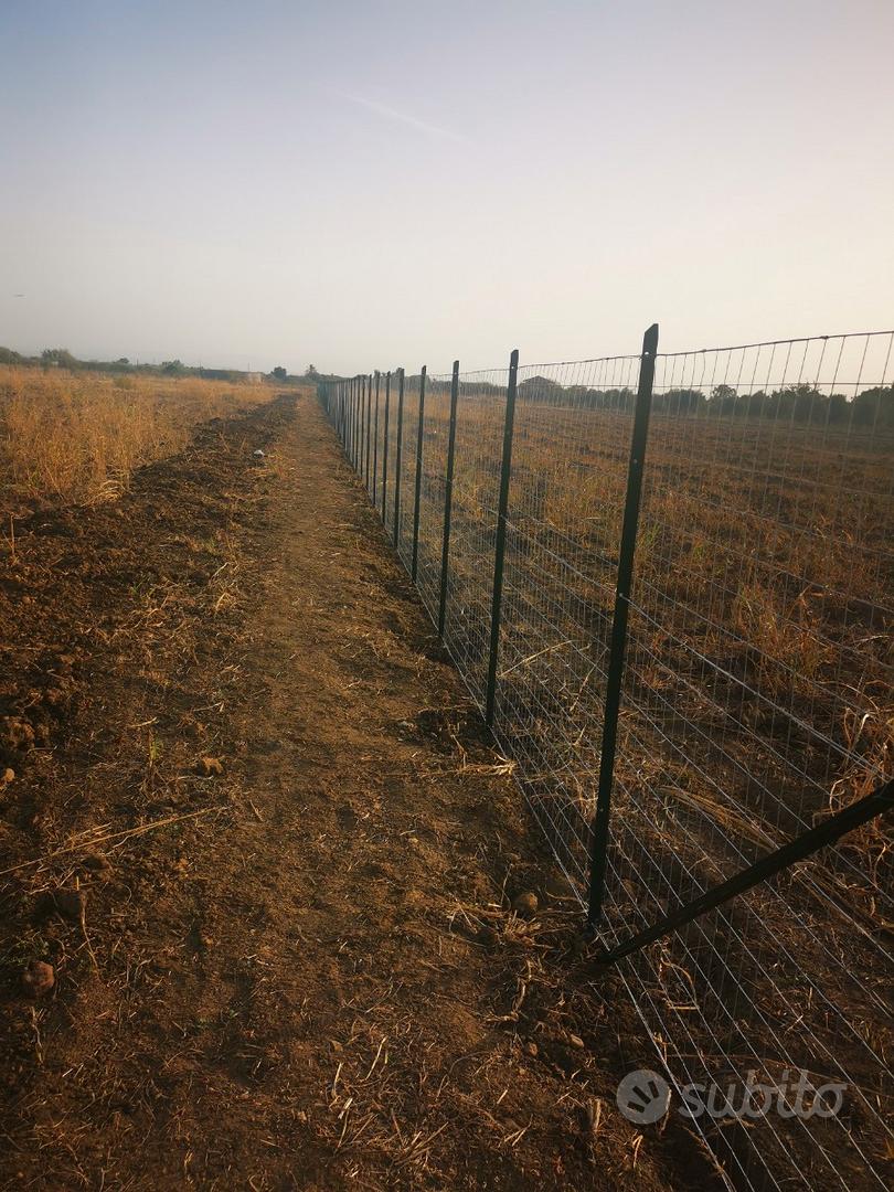 Terreno agricolo - Vista 2