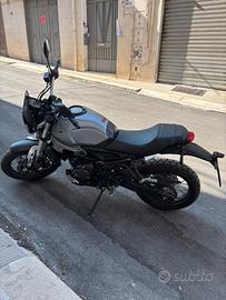Voge Trofeo Scrambler acx