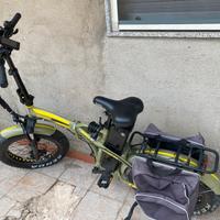 Bicicletta Elettrica