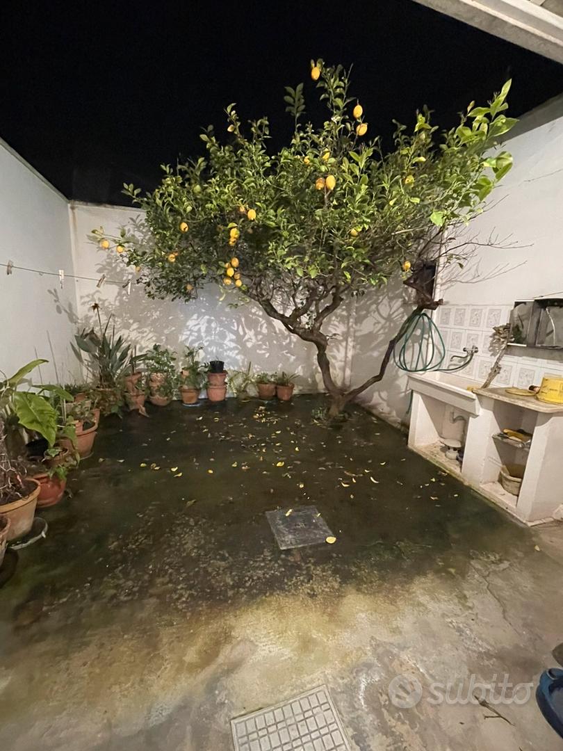 Apartment in Monteroni di Lecce, Lecce - Vista 6