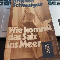 Wie kommt das Salz ins Meer -di Brigitte Schwaiger