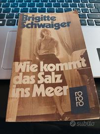 Wie kommt das Salz ins Meer -di Brigitte Schwaiger