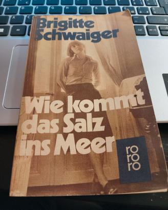 Wie kommt das Salz ins Meer -di Brigitte Schwaiger