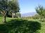 Immagine 24