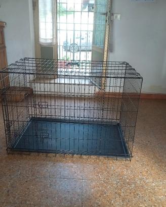 gabbia per cane/i