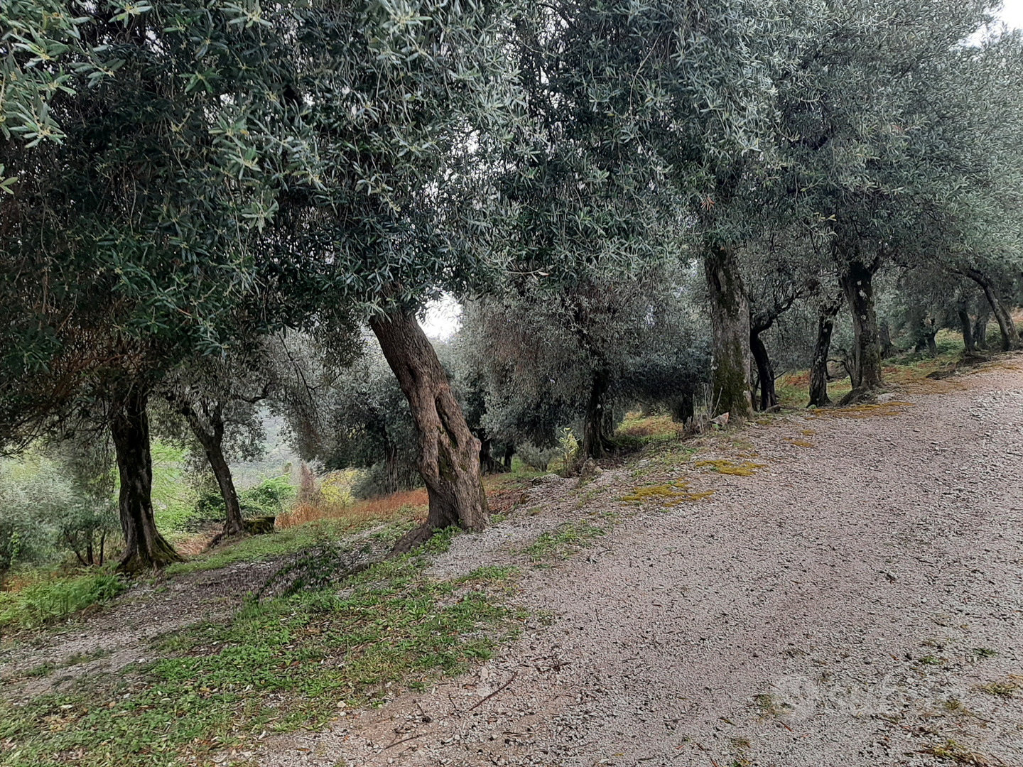 Vendita collina - Vista 2