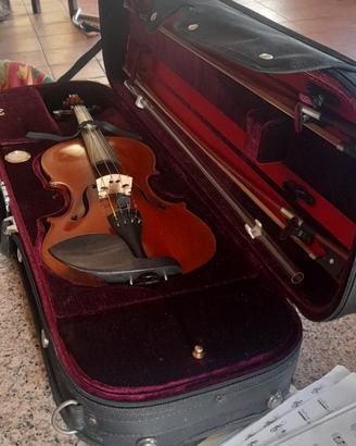 violino