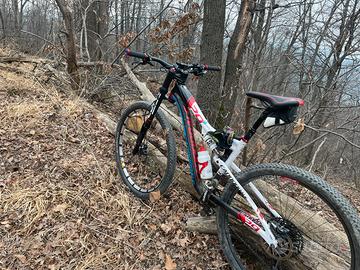 Cannodale scalpel 29 er