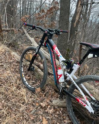 Cannodale scalpel 29 er