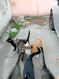 Se qualcuno e interessato ad avere c