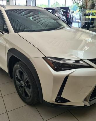Lexus UX 250 Hybrid Urban