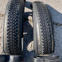 copertoni Specialized + camere d’aria Schwalbe