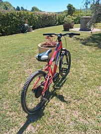 Mountain Bike Tecnobike per ragazzi/bambini 