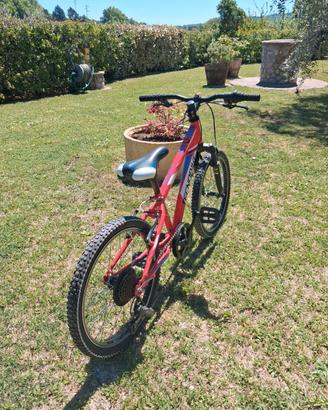 Mountain Bike Tecnobike per ragazzi/bambini 