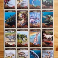 16 carte descrittive Dinosauri