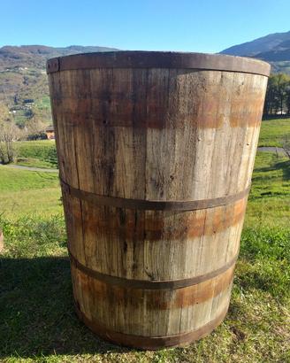 Tino in rovere naturale per vino.
