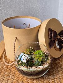 Terrari in vetro circolare con piante esotiche 