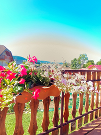 Canove appartamento ANNUALE anche residenti