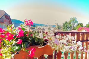 Canove appartamento ANNUALE anche residenti