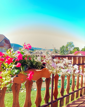 Canove appartamento ANNUALE anche residenti