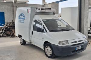 Fiat Scudo furgone frigo cella funzionante