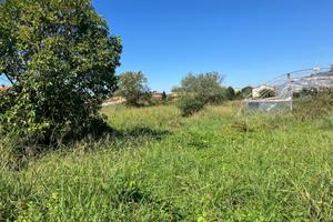 Terreno agricolo