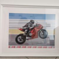 Grafica Ducati Panigale