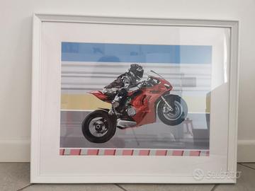 Grafica Ducati Panigale