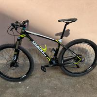 Giant in carbonio