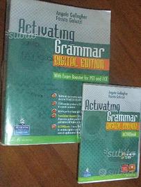 Activating grammar isbn 9788883390685