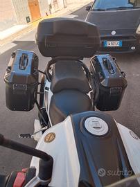 bauletti x motore Benelli