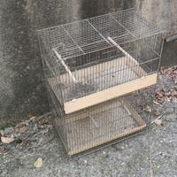 n.4 Gabbie per uccelli 