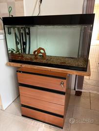 Acquario pesci, pompa Fluval, distributore mangine