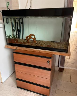 Acquario pesci, pompa Fluval, distributore mangine