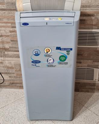 Condizionatore portatile Carrier 51AKE 065