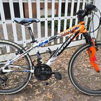 Bici alluminio Montana Spark 24