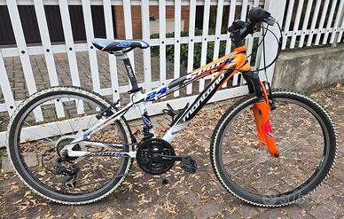 Bici alluminio Montana Spark 24