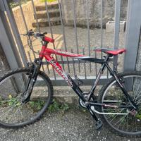 Bottecchia