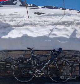 Bianchi oltre XR