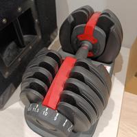 Coppia manubri regolabili