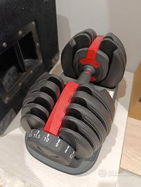 Coppia manubri regolabili