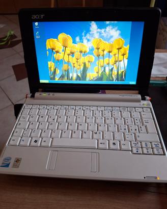 Acer aspire one