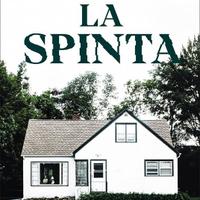 Libro "La spinta" di Ashley Audrain